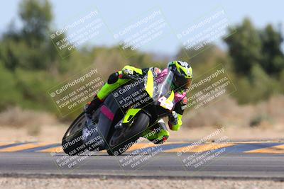 media/Mar-10-2024-SoCal Trackdays (Sun) [[6228d7c590]]/11-Turn 7 (130pm)/